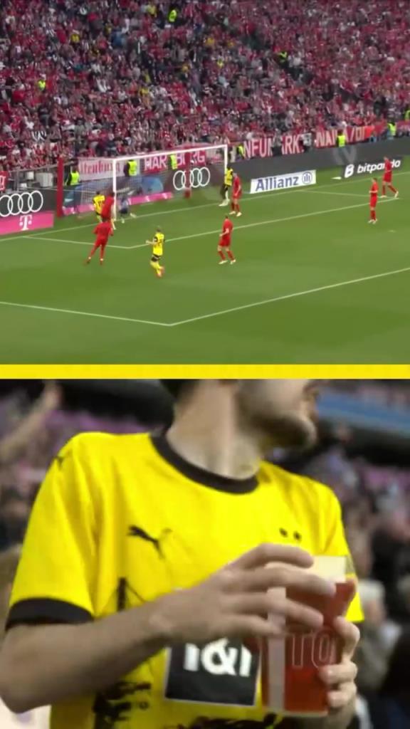 勇者無(wú)懼！這是真多特球迷！在拜仁球迷區(qū)一個(gè)人肆意慶祝！